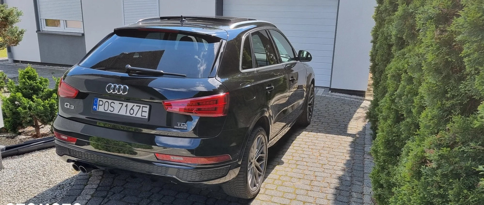 Audi Q3 cena 96000 przebieg: 115000, rok produkcji 2018 z Sulechów małe 106